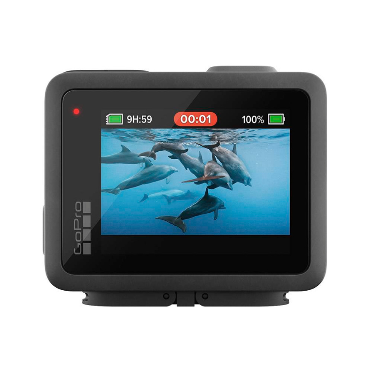 Black GoPro Hero action camera screen displays dolphins swimming underwater.