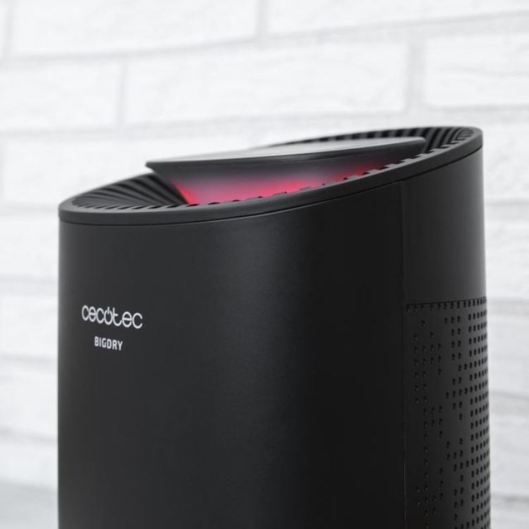 Black Cecotec BigDry dehumidifier, 0.6L capacity, red light on top.