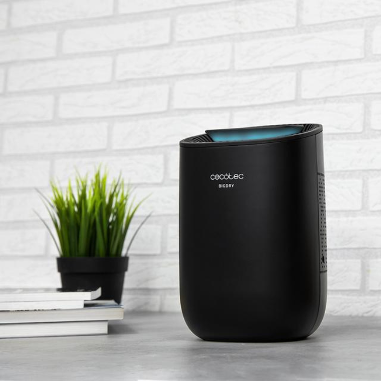 Black Cecotec BigDry 2000 dehumidifier, 0.6L capacity, blue light on top.