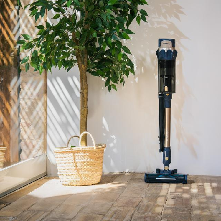 Cecotec Conga Rockstar 800 vacuum cleaner, black and gold, standing on tiled floor beside a plant.