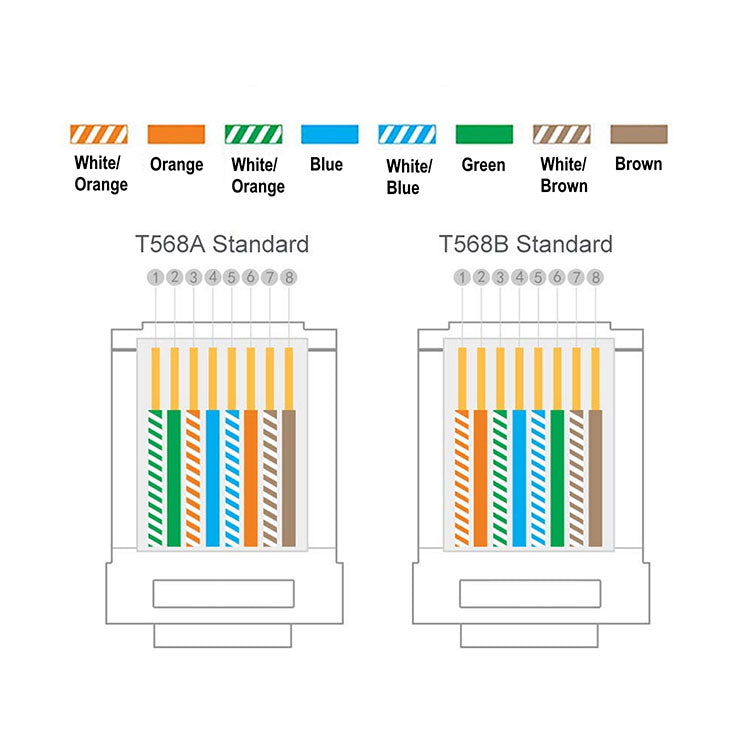 Fichas RJ45 Cat.6 U/UTP Ewent (Pack-100)