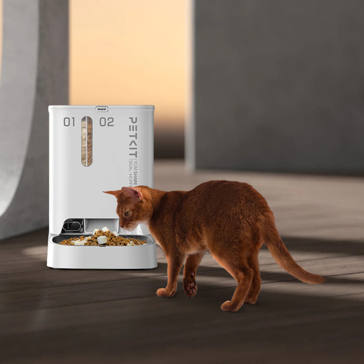 Petkit YumShare dual hopper white automatic pet feeder with brown cat.