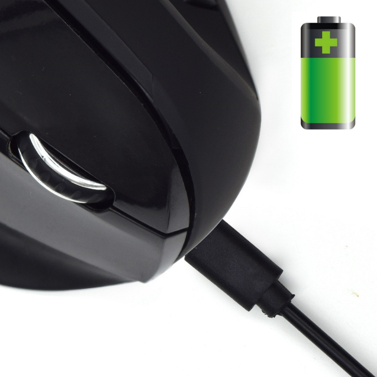 Rato Óptico Ergonómico Ewent EW3158 Wireless Preto