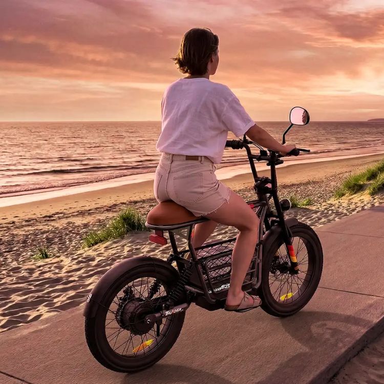 Bicicleta Eléctrica UrbanGlide Thunder 200 Cinzento