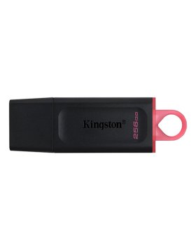 Pen Drive Kingston DataTraveler Exodia 256GB USB 3.2