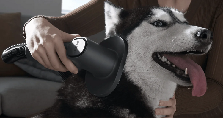 Xiaomi Vacuum Cleaner G20 Max