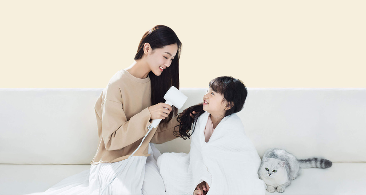 Xiaomi Mi Ionic Hair Dryer H300
