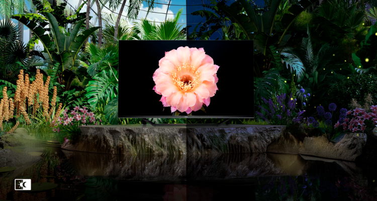 tv_hisense_e7nq_12__