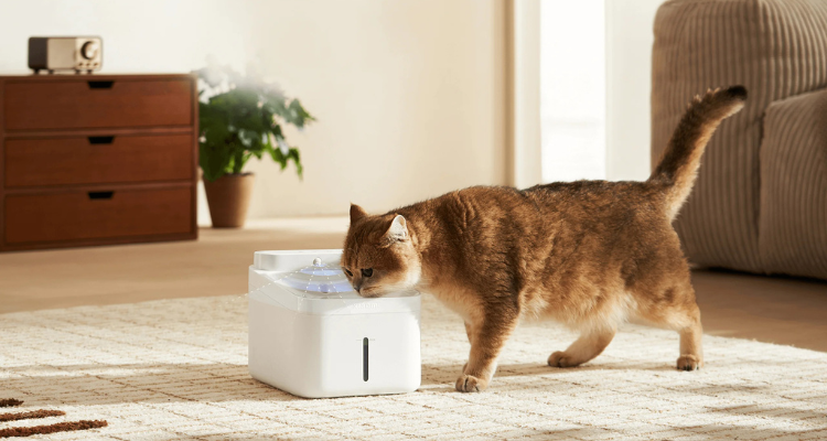 Xiaomi Smart Pet Fountain 2